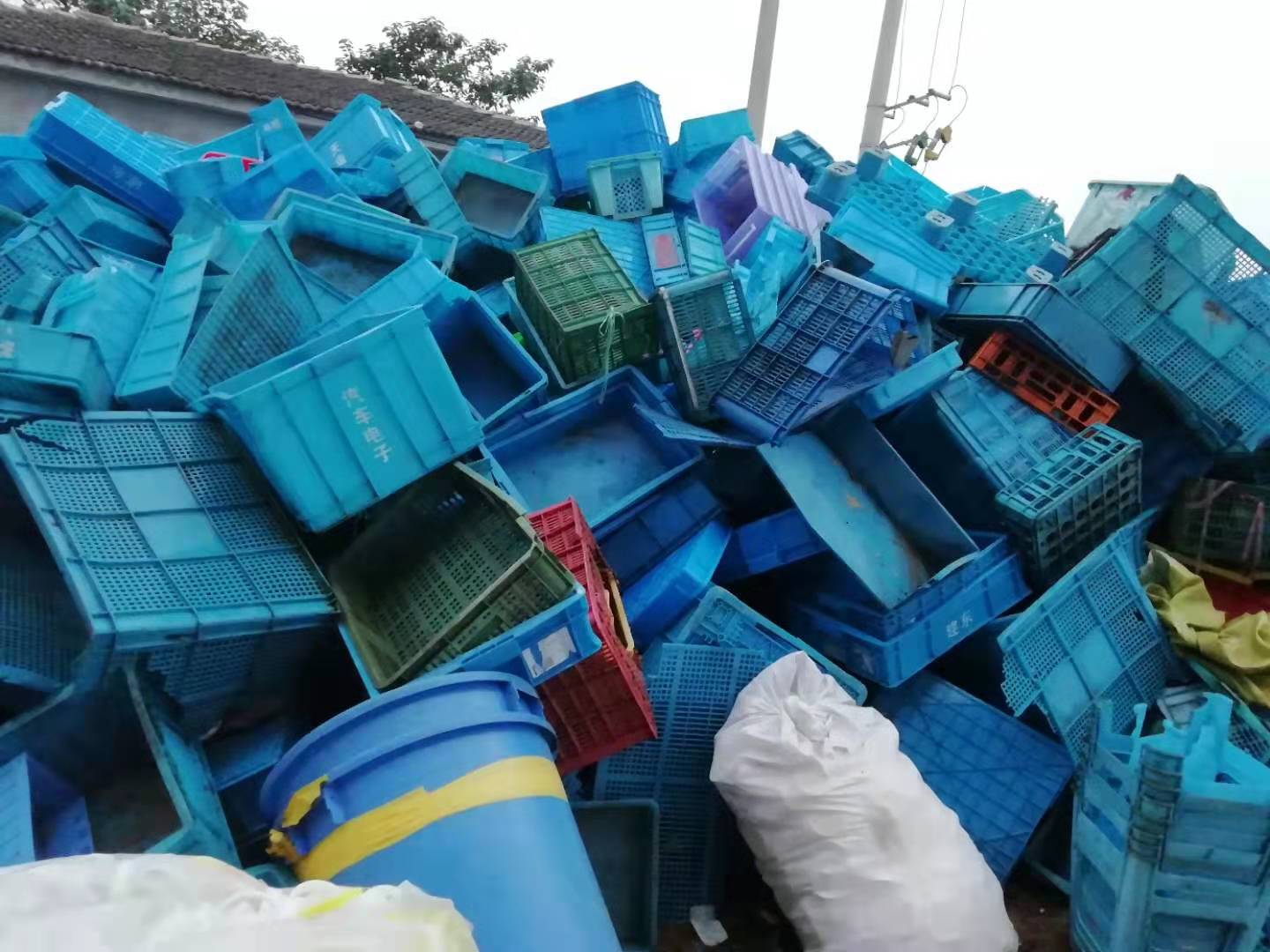 塑料制品回收1_镇江塑料制品回收1厂家-丹阳市开发区林庆废品收购站